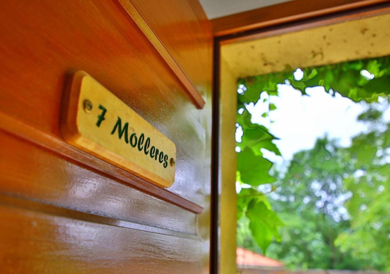 Beau Vallon - Gite Et Chambres D'Hotes Pyrenees-Mediterranee - Pays Catalan Sahorre Εξωτερικό φωτογραφία